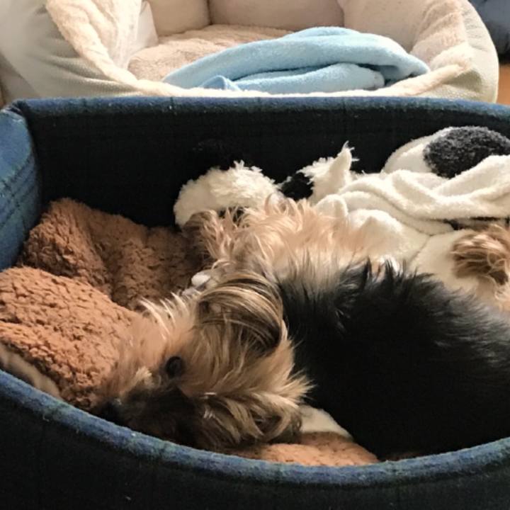 B2d86565 c567 4ee1 9774 63239ea3a09e