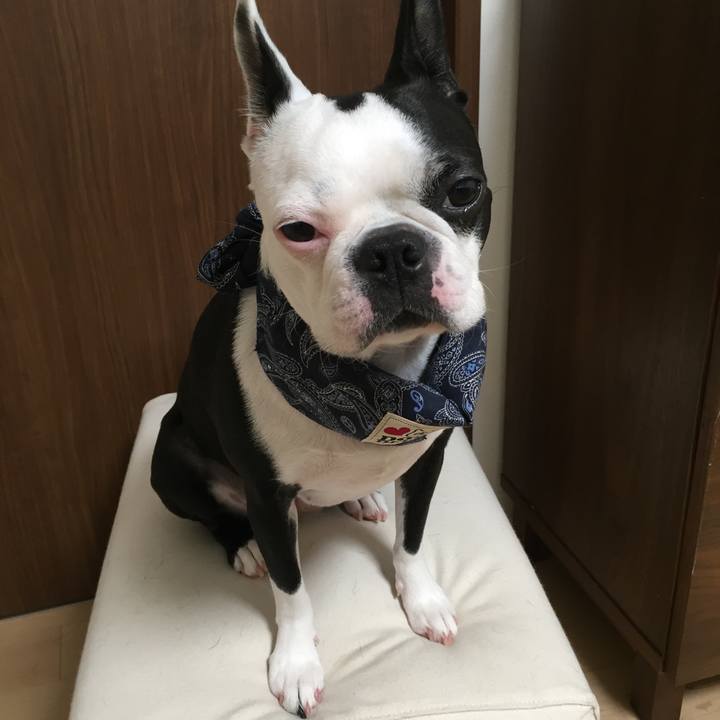 B2d9087e 5423 4f9e bfa1 81949bd29b6e