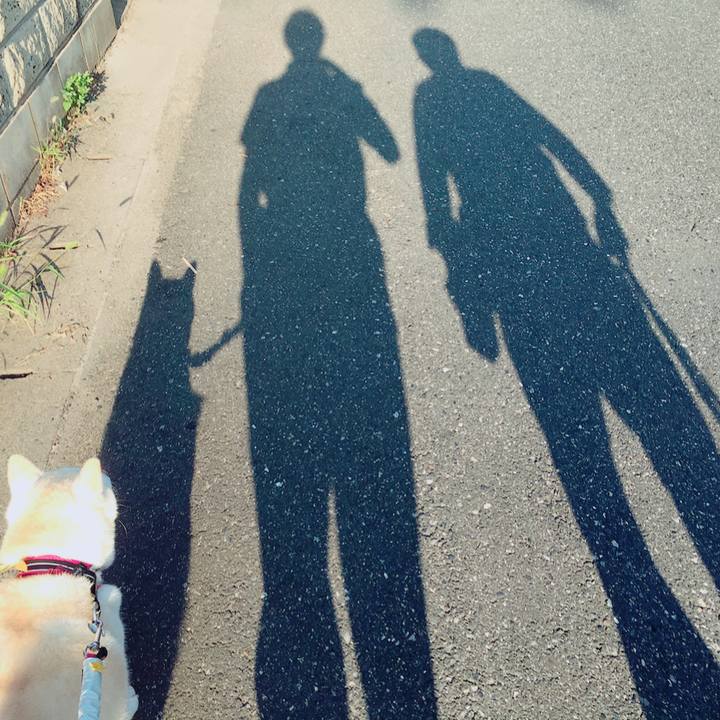 B2daa9ad d58d 4ae3 84d0 b1cc1b56dd3a