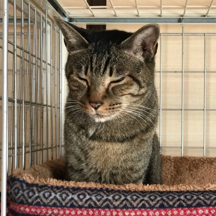 B2db96b7 8f52 443f aaca 772f0a1914c2