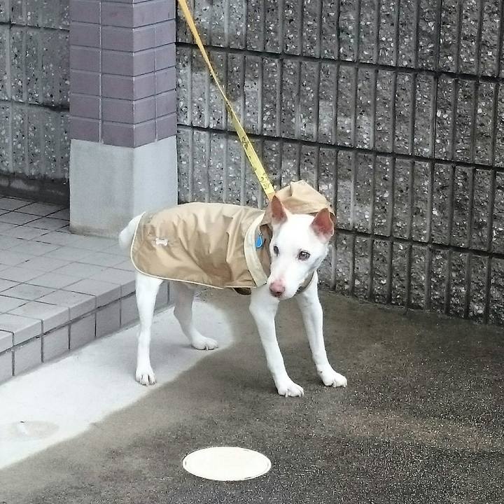 B2dc8eda 86af 4288 b16f 6add893c39ff