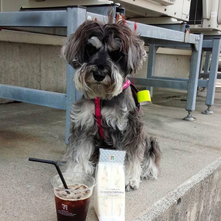 B2ddb603 79d8 495e b2cb fc11f6a19620