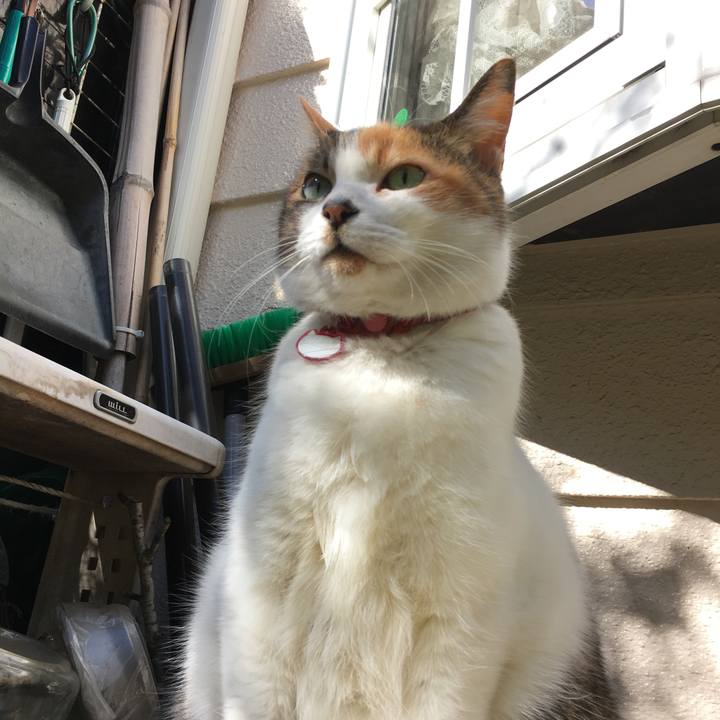 B2ddd32e 2943 481a b7f7 d0f77eb42b9a