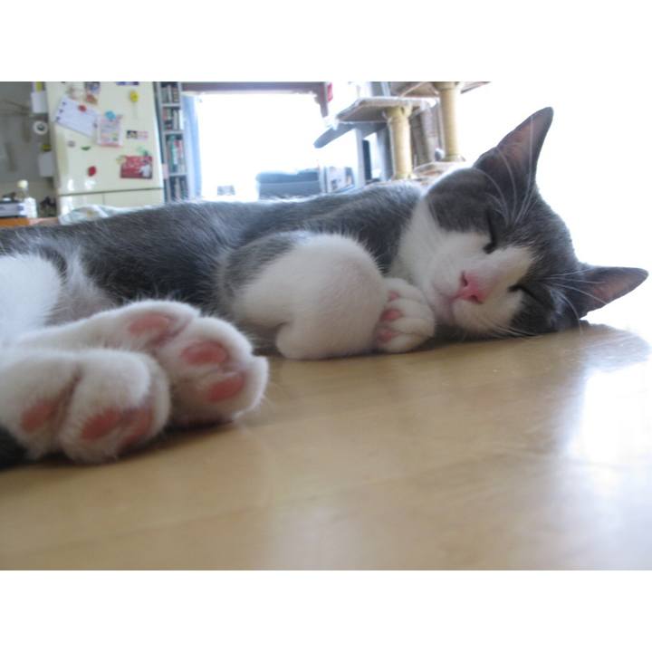 B2deea3e 6191 418c b10d 3c1f9164fac9