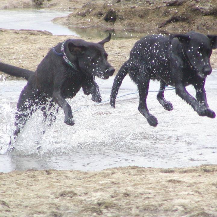 B2deebd5 977c 4875 a666 553ae63f84ef