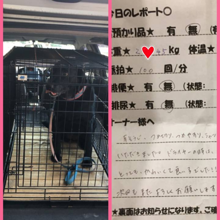 B2df180a 2e27 44a8 80d9 727da162cc8c