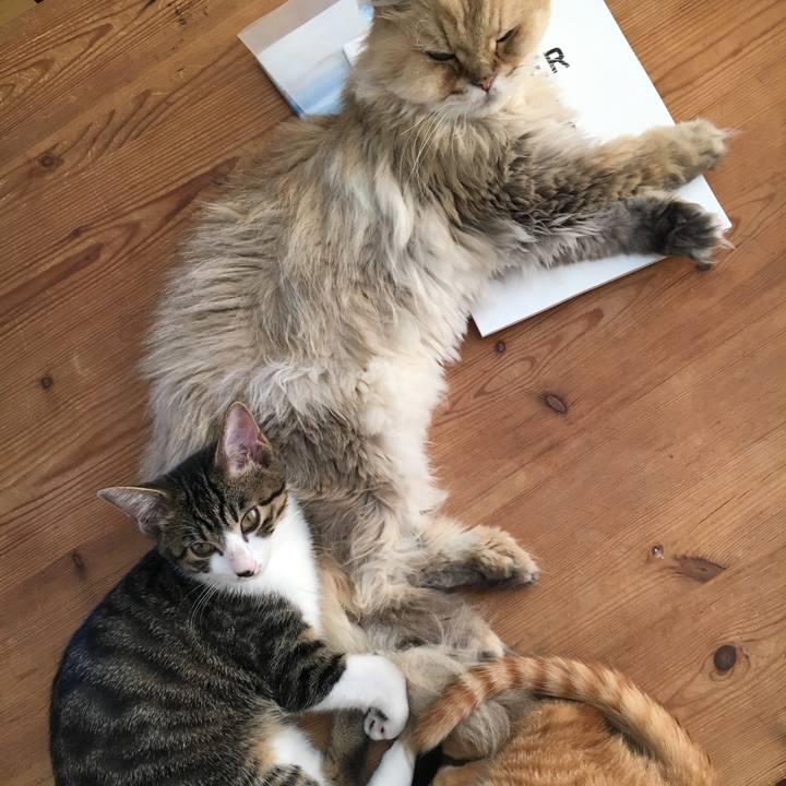 B2e0b2a1 711b 4f6f 9c49 1029cfea7b8f