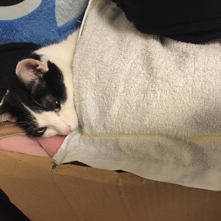 B2e0dde7 4994 44f2 b4b7 28c010a2d35c