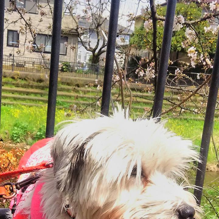 B2e17e01 56c2 4f6e af47 d6c9c88c36de