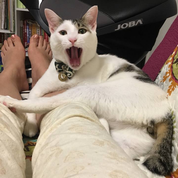 B2e18b3b 9ed4 45d8 be19 6386fe807d6a