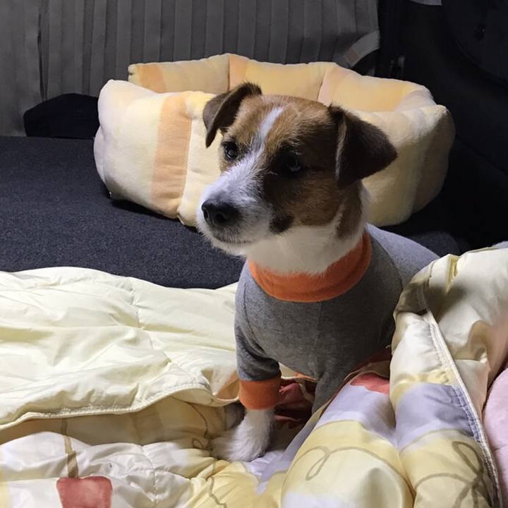 B2e232b7 cb15 4367 a1e3 1f3ad4ff233b