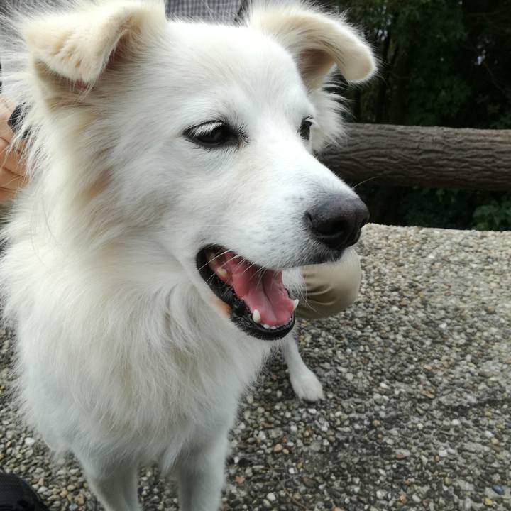 B2e24fdf 7395 4c65 b6d8 e2b9b7bc371b