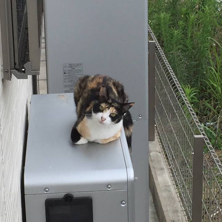 B2e2ae8b 393f 4a3a b4b5 f23614cfc3bf