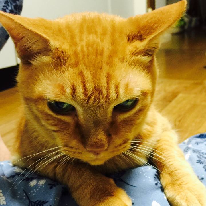 B2e2cb98 f3c2 4025 b52e c20345814203