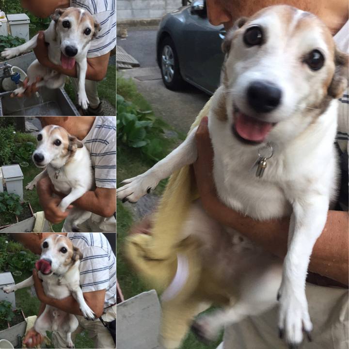 B2e2ccfa 1155 48ad b054 599279122770