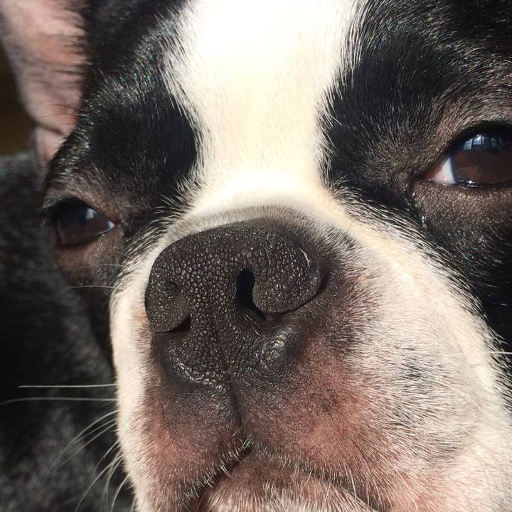 B2e308b4 5eed 4d15 951d 05bdb412fc2a