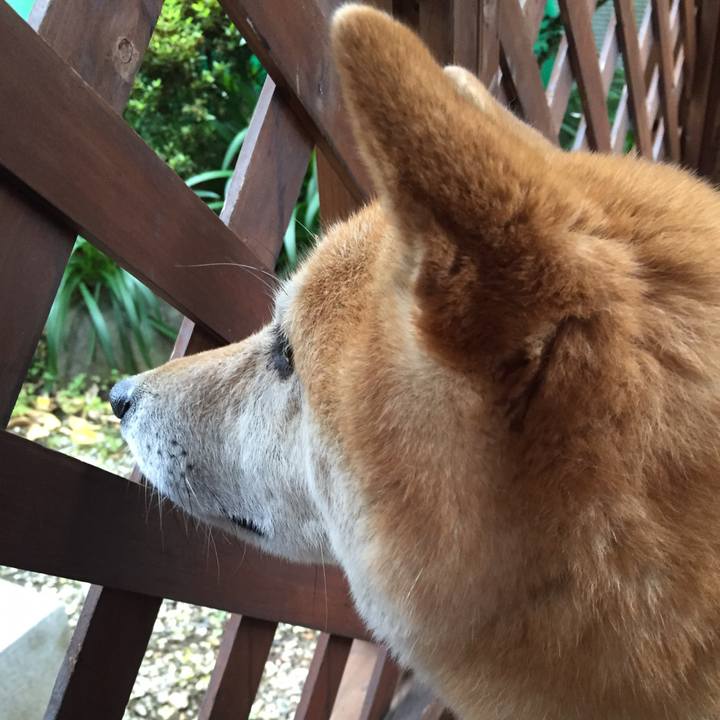 B2e31e98 0290 44b8 8347 e0a48312efaa