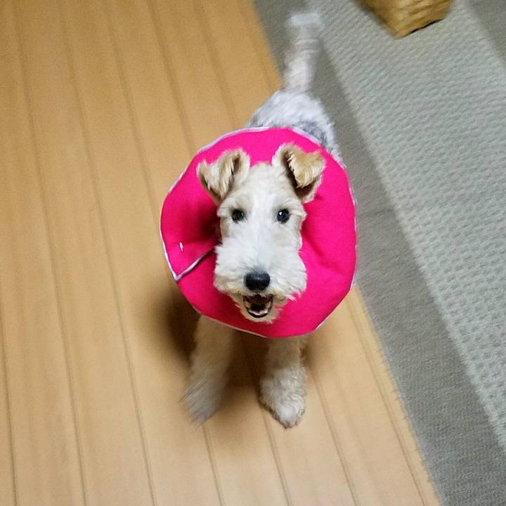 B2e42835 7373 4e35 83fe c02a63f6995b