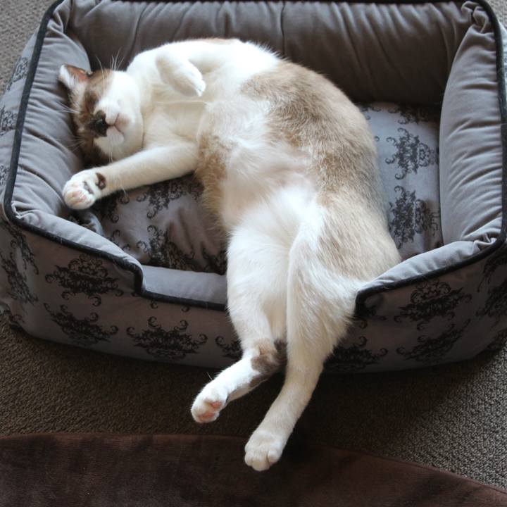 B2e4c0a0 c468 4273 827e a81d70e7d7b0