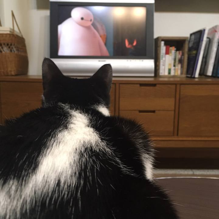 B2e4e845 05bd 4ac0 98d0 769d5f1c532f