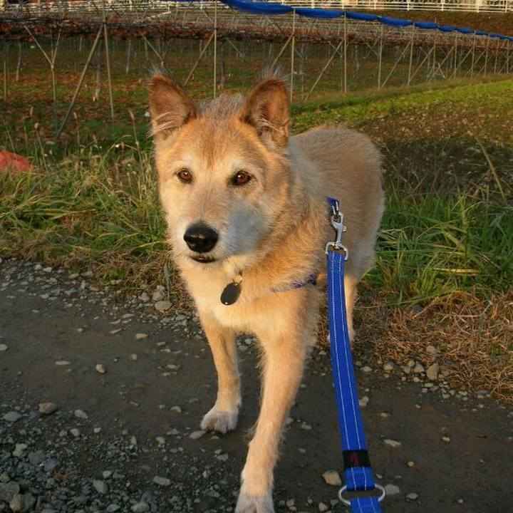 B2e56e1c 0cb6 4619 9b15 590a61ce59d2