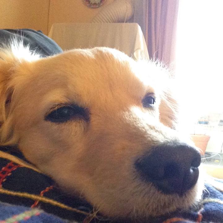 B2e5755c da0d 4439 8848 4e78f4e8f411