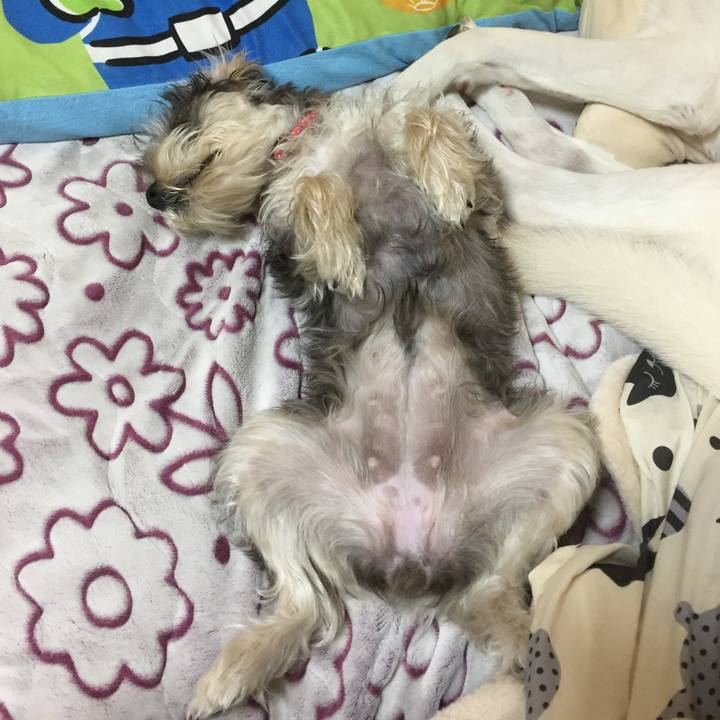 B2e641ab d10d 43f6 a26c d5fc6098df21