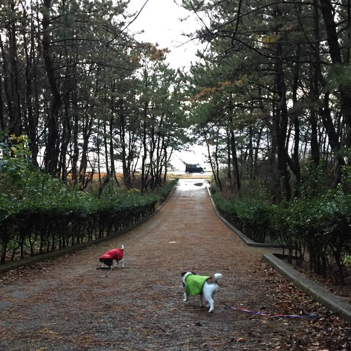 B2e6cc3c 1eab 4766 8d9d e91f48c6a5e4