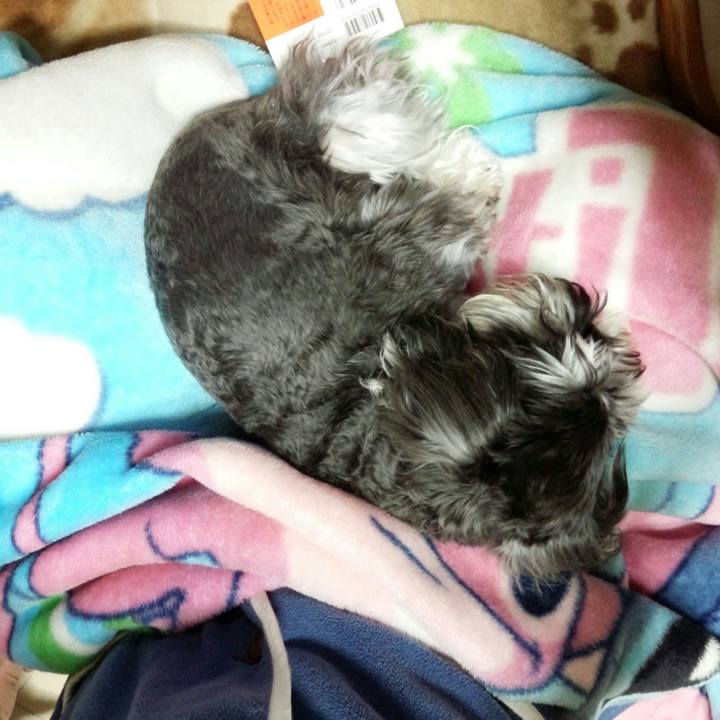 B2e6ed7d ad9d 4cf9 b550 44c3cac57bd6