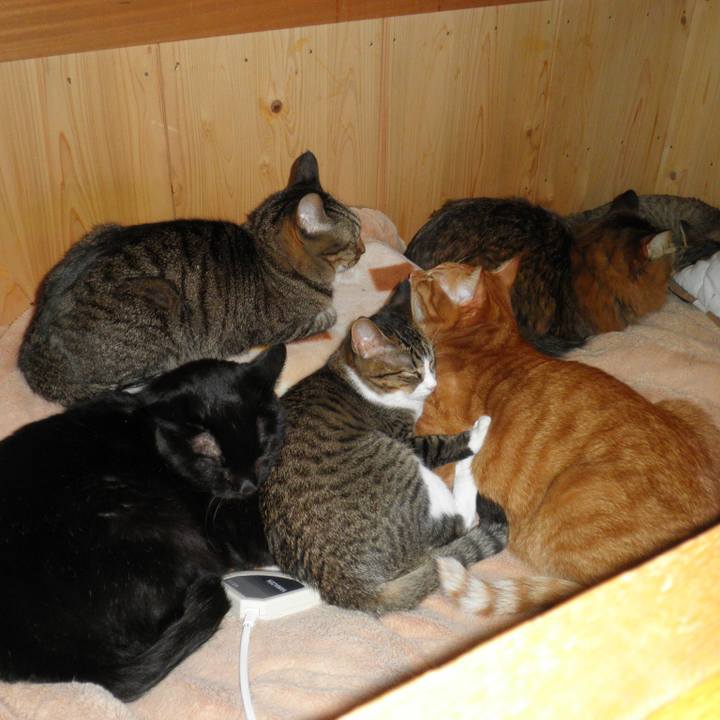 B2e75f97 b650 4869 b118 7e43c1f98e32