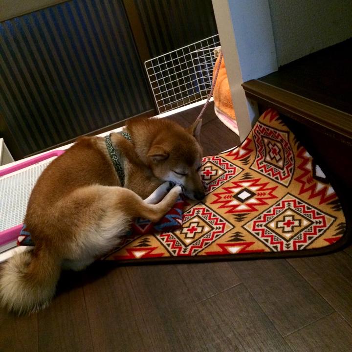 B2e7eca5 bfc5 4abf ab9f 6c894442a634