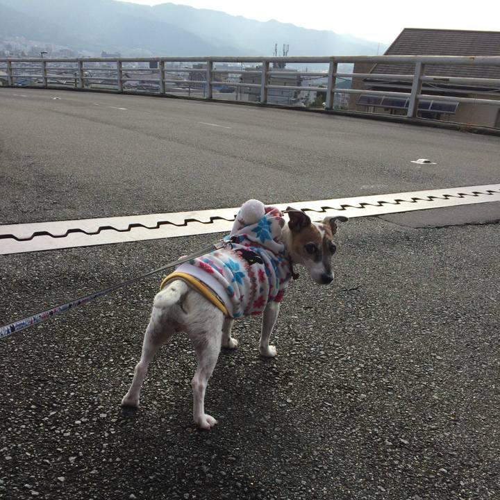 B2e878d2 768d 4cc4 95d8 e5ff57c9a5d1