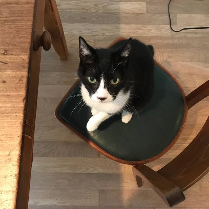 B2e91b23 0fab 4e11 b2cb 29697fbdc54d