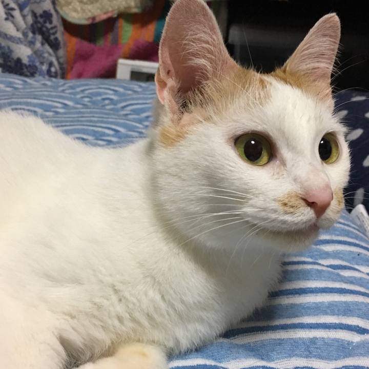 B2ea3d36 d1cb 4ad2 99fc 0e192b54d4ef