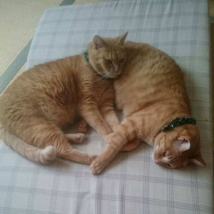 B2ea49ac cb57 4cc3 9f6b 73342b2797e1