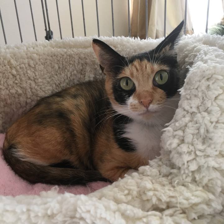 B2ea84dd d4c8 44d1 bb17 7581d1970137