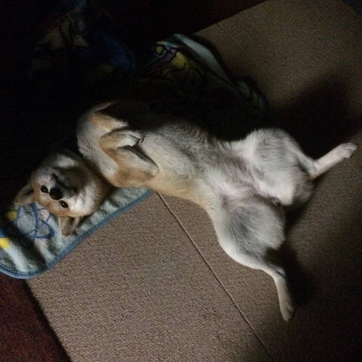 B2eb350f 5625 4af1 989d cc8c52c865b1