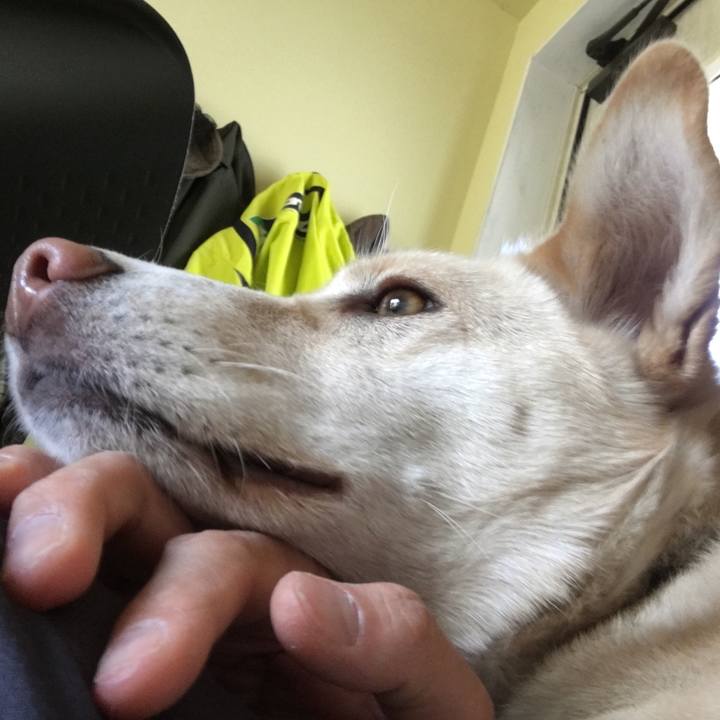 B2ebd67d 1562 4428 a909 29d78954b5fe