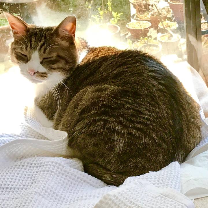 B2ec6b9d 37aa 470e 956e 7936ded0d2e9