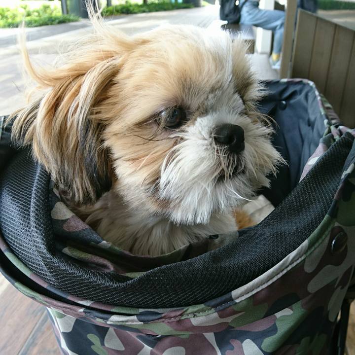 B2ed220c 0ead 4ead b1e5 12a0de3b8ddb