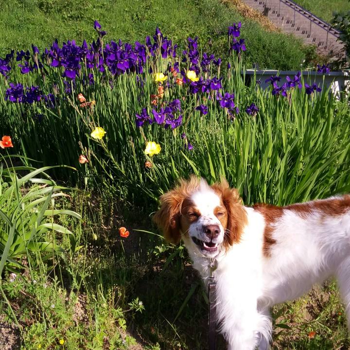 B2ed2261 fa4e 4829 886c 9548ca8d0115