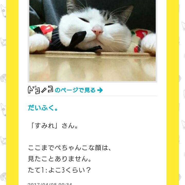 B2ed3131 d1f3 4b64 a46e ac9137720420