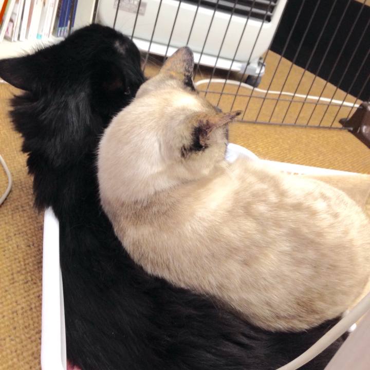 B2ed4f64 40be 4c2c b4cd c8f1983e018f