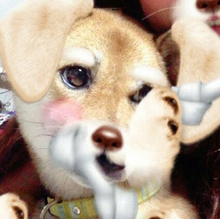 B2eda878 ceb2 4e32 aee1 d0c620312bf4