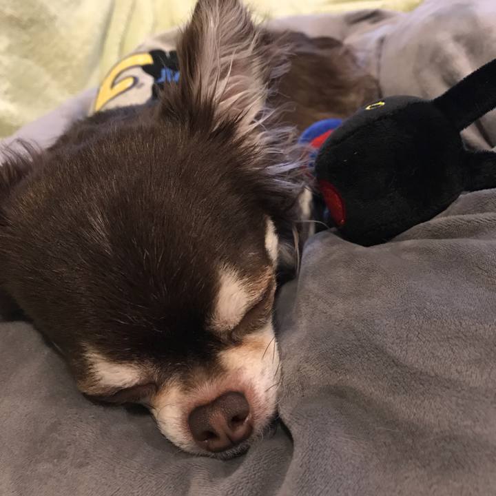 B2ededda 65e1 4584 83a3 8143586a4d07