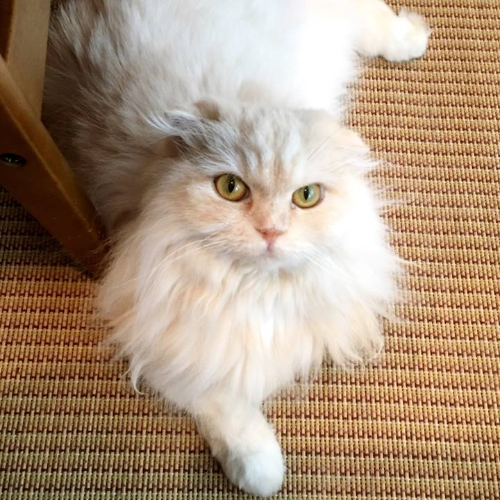 B2ee7465 b43d 4a8f 8abe b1d33d2b000f