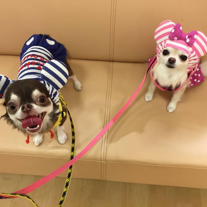 B2ee75e8 e144 4ee5 8628 1ba91edcc774