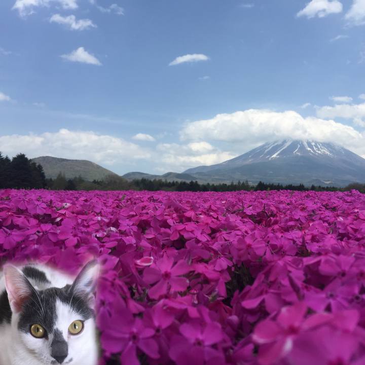 B2ee943e ff00 4831 b4bc 8348164cd55e