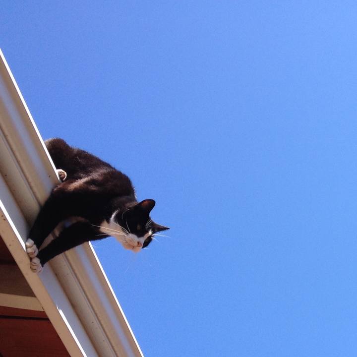 B2eebbd3 e94e 4d05 bdcd 2e78da49c1e2