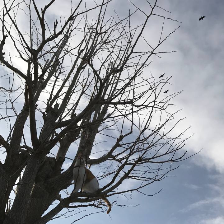 B2eed097 8d8c 4f06 9a91 3e3fa1977b58